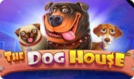 The Dog House van Pragmatic Play in het spelaanbod van TipTop